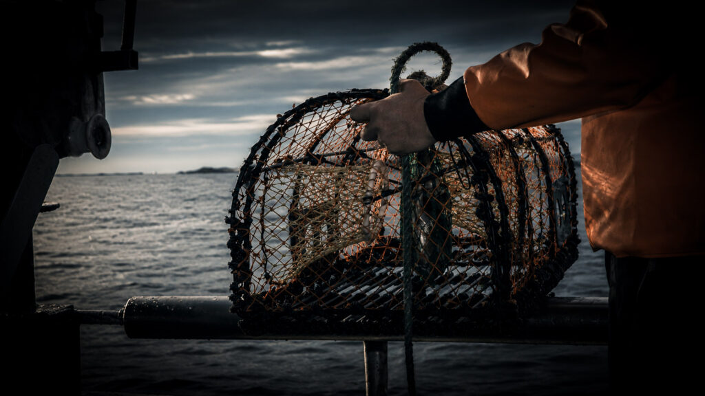 Lobster fishing Mattias Filmmaker Fiskebackskil Sweden